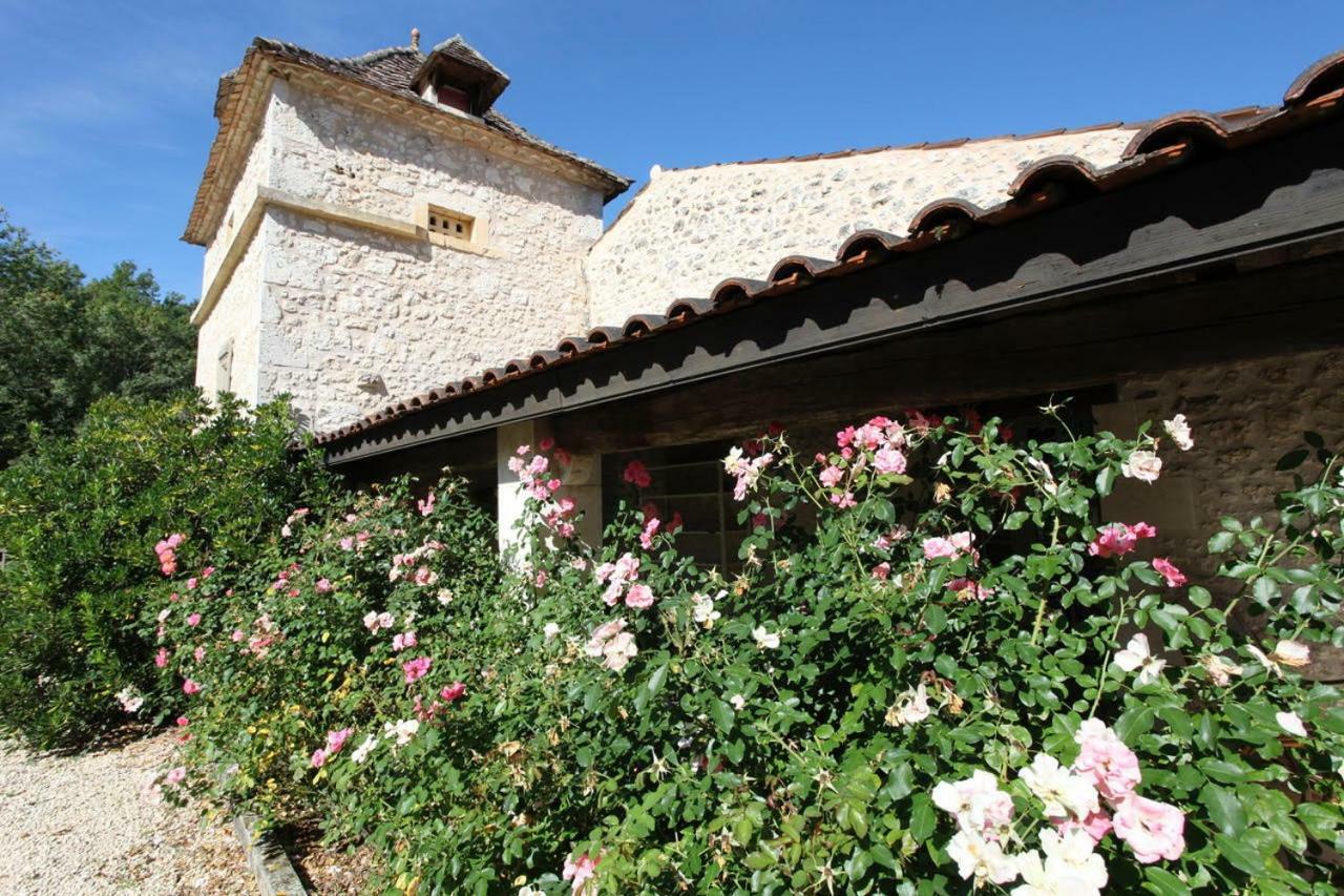 Domaine Du Merlot Sainte-Sabine-Born Εξωτερικό φωτογραφία