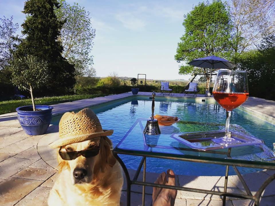 Domaine Du Merlot Sainte-Sabine-Born Εξωτερικό φωτογραφία